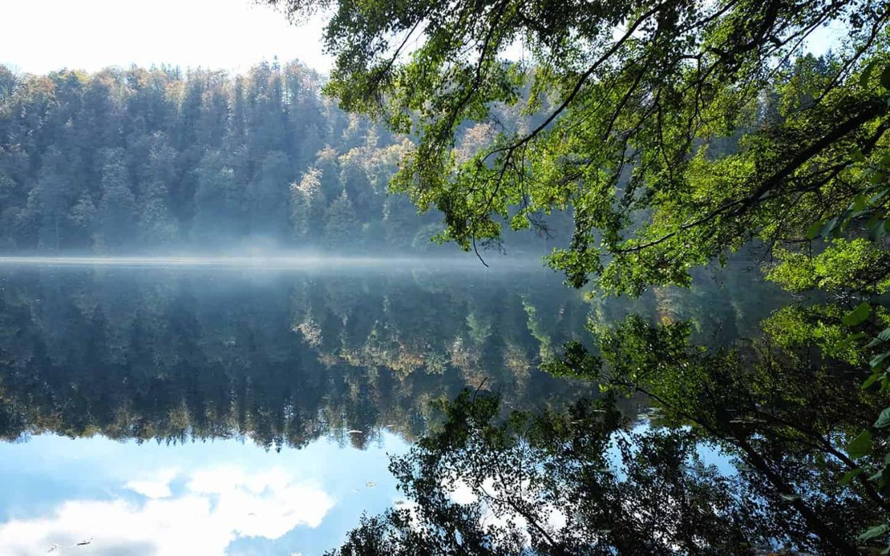 Ferienwohnung In Der Vulkaneifel "Opp Der Holl" Brockscheid Exteriör bild