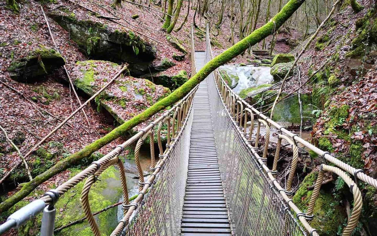 Ferienwohnung In Der Vulkaneifel "Opp Der Holl" Brockscheid Exteriör bild