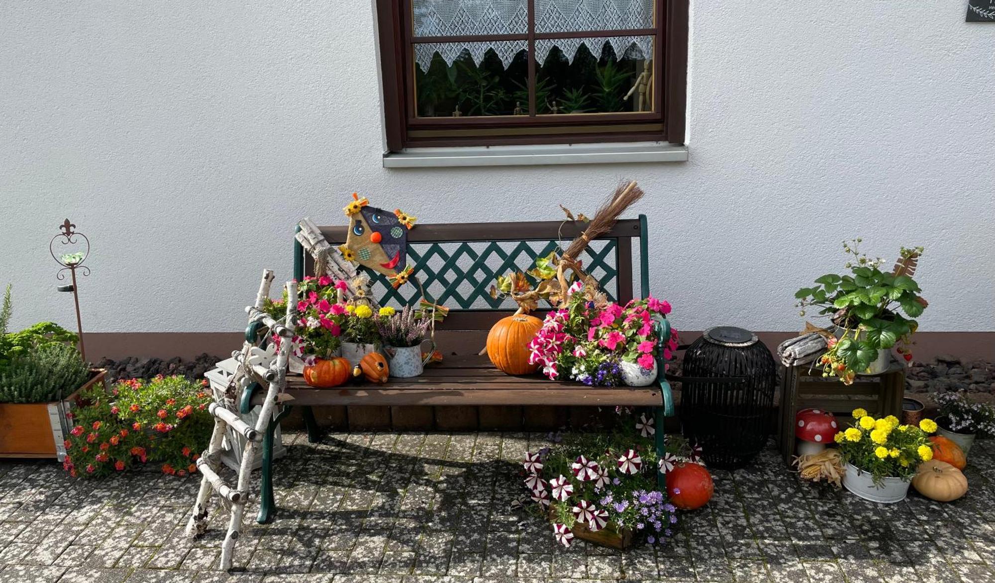 Ferienwohnung In Der Vulkaneifel "Opp Der Holl" Brockscheid Exteriör bild