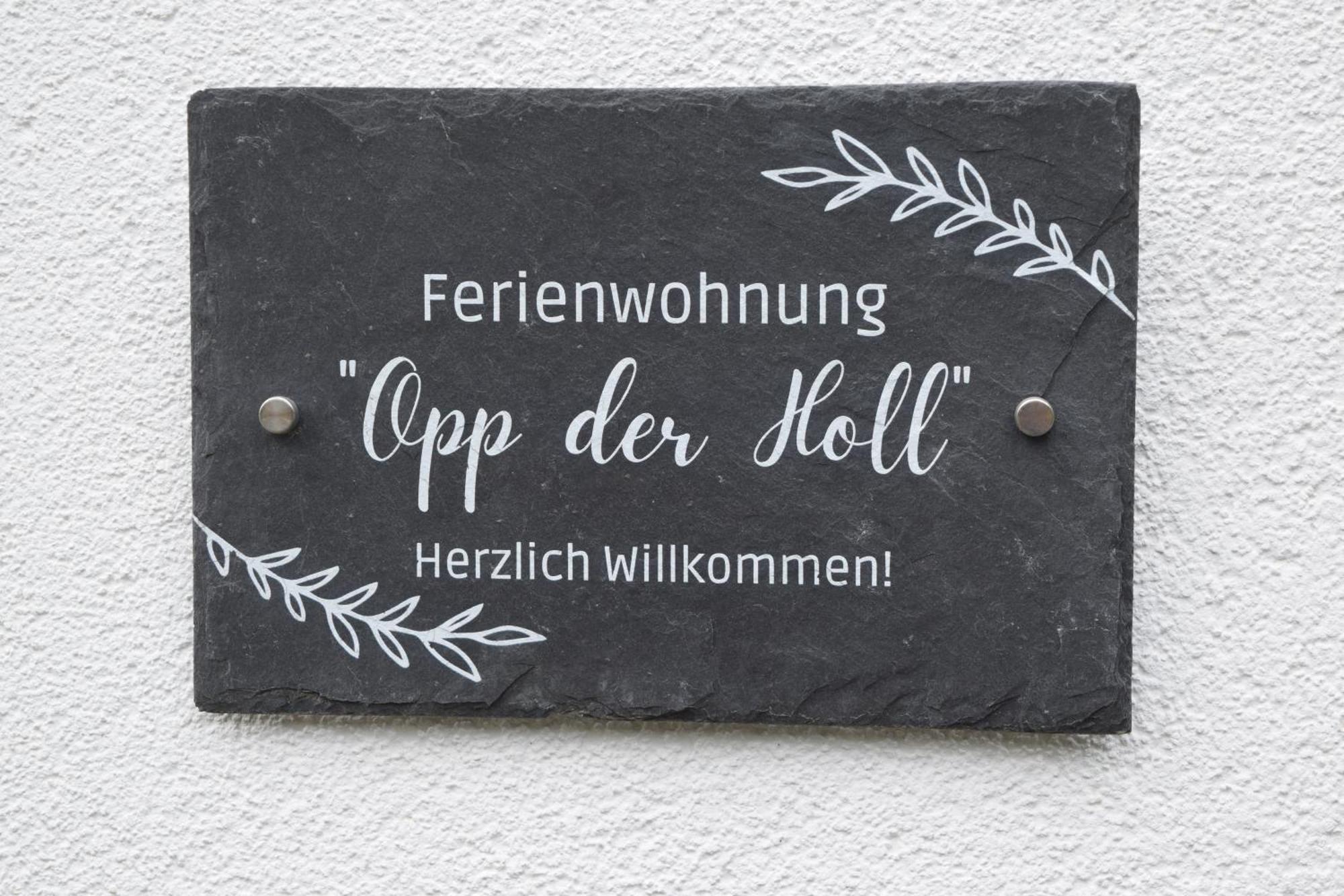 Ferienwohnung In Der Vulkaneifel "Opp Der Holl" Brockscheid Exteriör bild