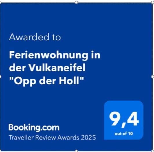 Ferienwohnung In Der Vulkaneifel "Opp Der Holl" Brockscheid Exteriör bild